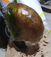 coleman bt200 progress front fender 1