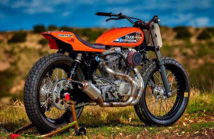 Sportster Hooligan built by Richard